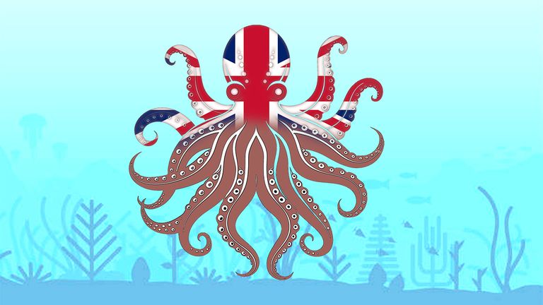 El Reino Unido se adapta al pulpo y lo exporta a la UE e, incluso, a Marruecos