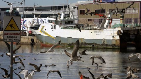 Barcos de pesca del Gran Sol amarrados en el Puerto de Vigo