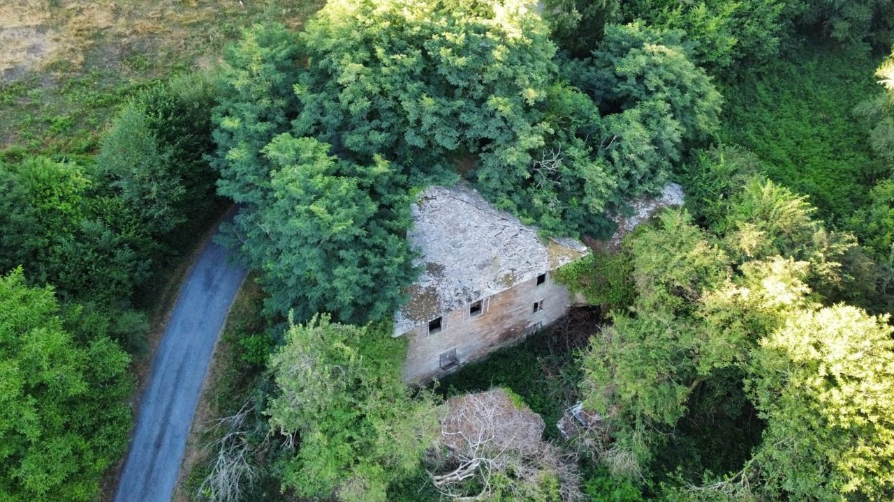 Vista area de una casa en una aldea de A Fonsagrada, tapada casi al completo por los rboles