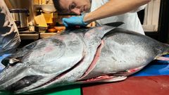 Imagen de archivo del despiece de un atún rojo en un restaurante gallego, el Niño Corvo