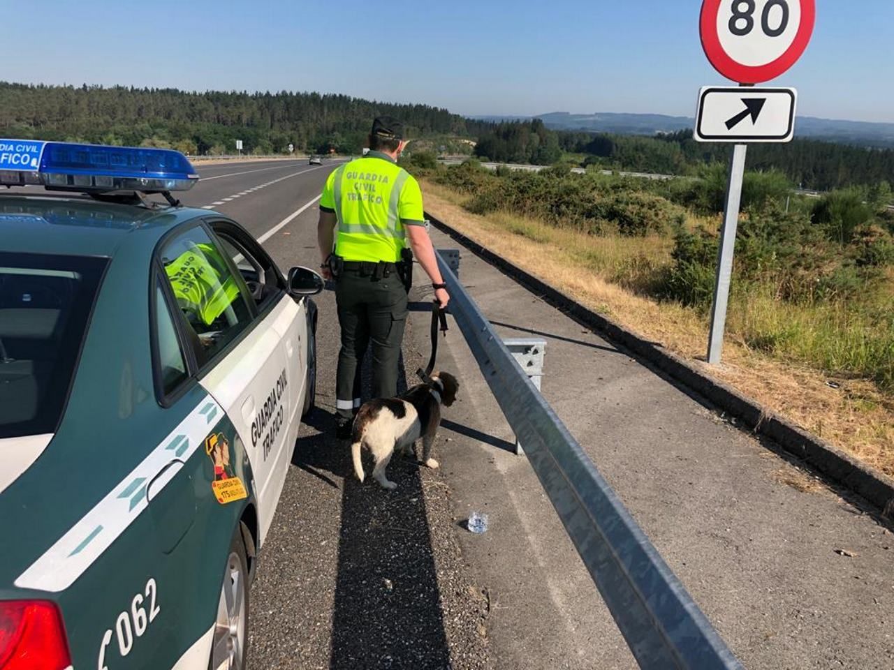 Rescatado un perro que vagaba por el corredor de Nadela a Monforte