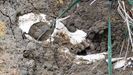 Cráneo humano de un enterramiento del yacimiento arqueológico Traslaiglesia, en Bañugues, concejo de Gozón (Asturias)