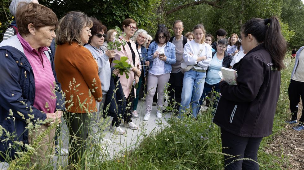 Alumnos de sexto de las Disc�pulas plantaron ayer especies ornamentales en el parque Ra��a Sof�a en Ferrol.