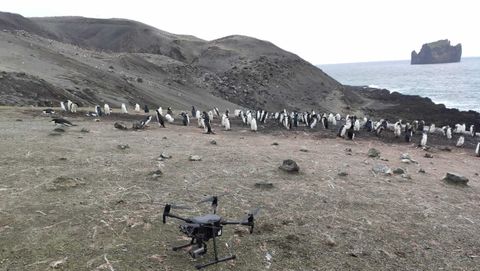 El dron con el que estn captando imgenes areas de la colonia para el estudio del cientfico Andrs Barbosa