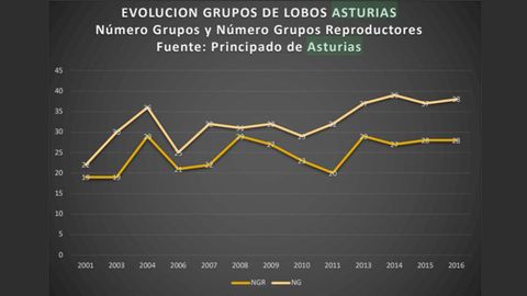 Evoluci�n de los grupos de lobos en Asturias