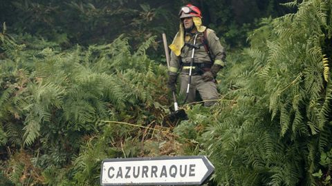 La Xunta flexibiliza los trámites para cultivo de pastos y la apertura de  cortafuegos en Red Natura