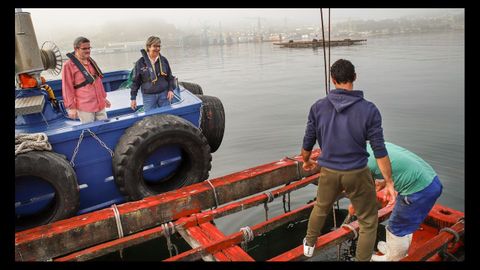 Antonio Basanta (director autonómico de Pesca) y Rosa Quintana (conselleira do Mar) miran desde un barco la batea de mejillón que visitaron en la ría de Vigo