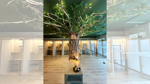 Un gran �rbol central es el protagonista de este espacio en el que se respira calma