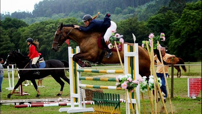 La vaca PACa interact�a con los m�s peque�os