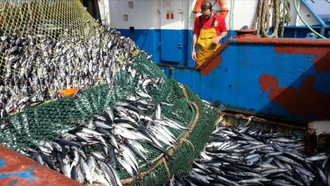 Un arrastrero de litoral abriendo el copo con xarda capturada en el noroeste espa�ol (foto de archivo)