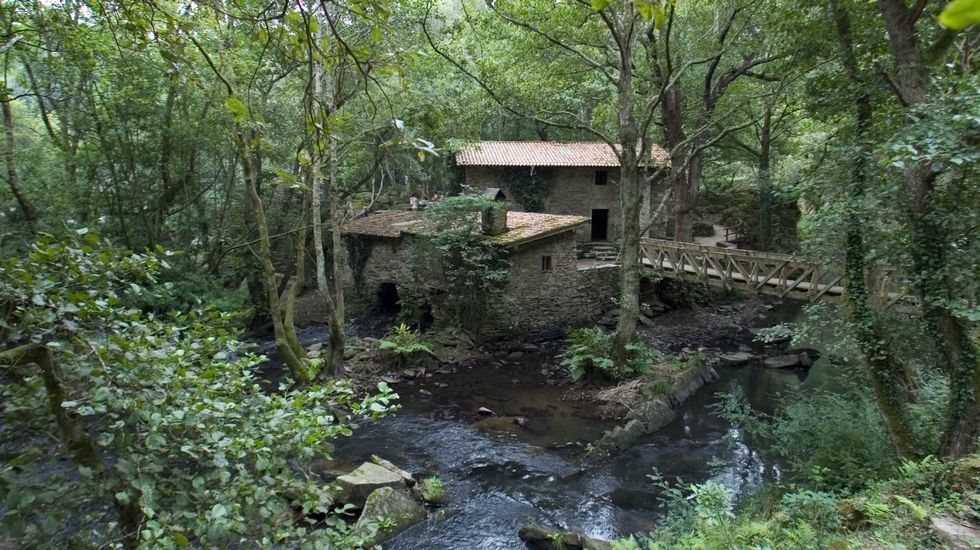 COto de Verdes. Río Anllóns