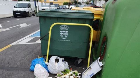 Hay numerosos restos orgánicos tirados en el suelo