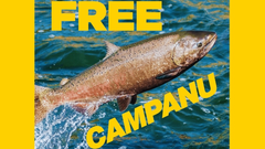 Cartel de la campa�a '�Free Campanu!'.