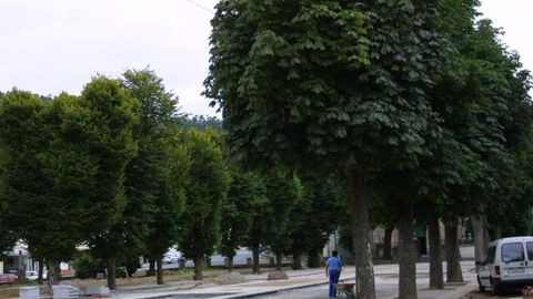 Andrs Pernas paseaba a menudo por la Alameda de Os Remedios, en foto de archivo, tras jubilarse