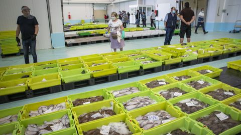 Tras la subasta en lonja, como esta en Ribeira el pasado dia 25, al pescado se le aplica un IVA del 10 %