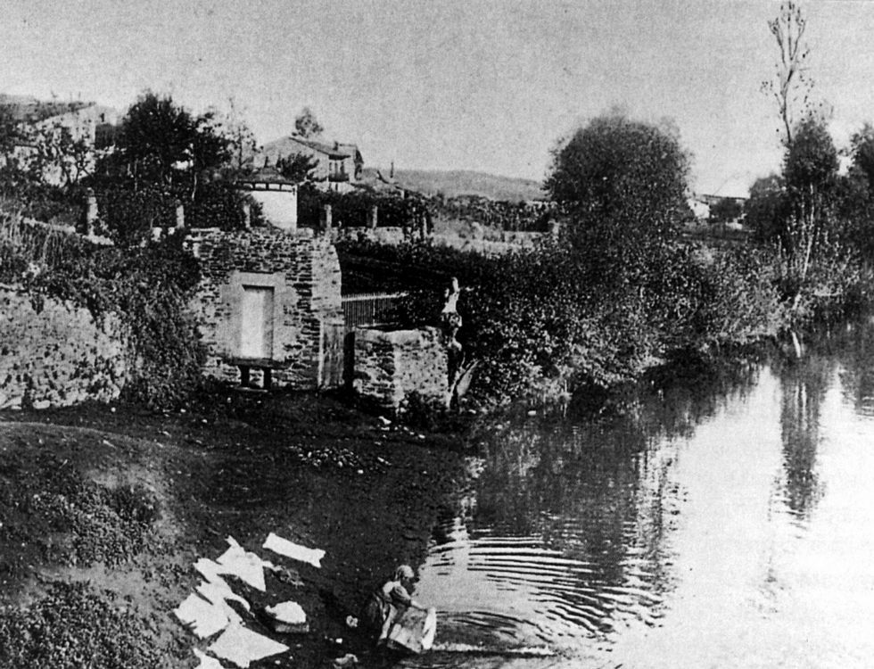 La continuidad de numerosas granjas de leche peligra. 