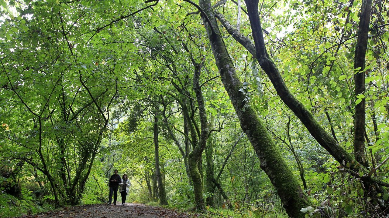 Sitios para visitar en A Maria, adems de As Catedrais y O Fucio do Porco