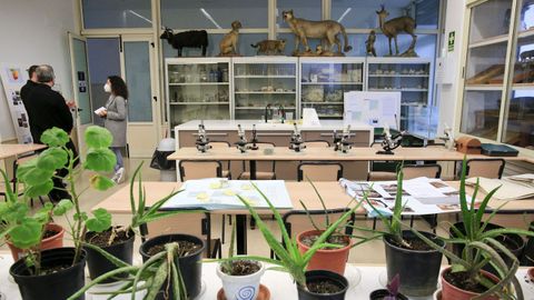 En uno de los laboratorios todava se pueden ver animales disecados que pertenecieron al antiguo laboratorio de biologa