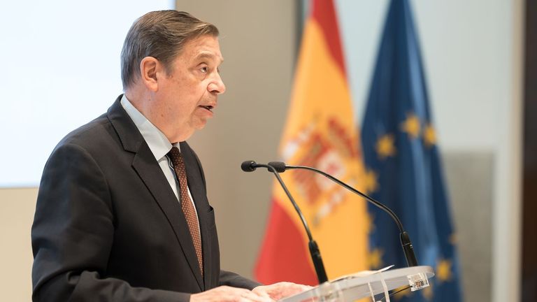 España intentará limitar el impacto de la peste porcina y desbloquear el veto de una veintena de países al porcino español