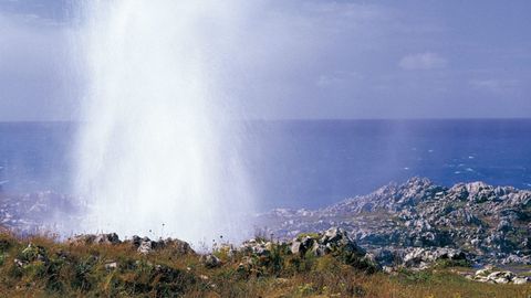 Bufones de Arenillas
