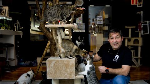 Pedro Soto, del Cat Café, en el municipio de Cambre, con los gatos.