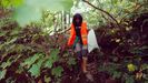 Una voluntaria participa en uno de los programas de Cogersa para limpiar un monte en Asturias