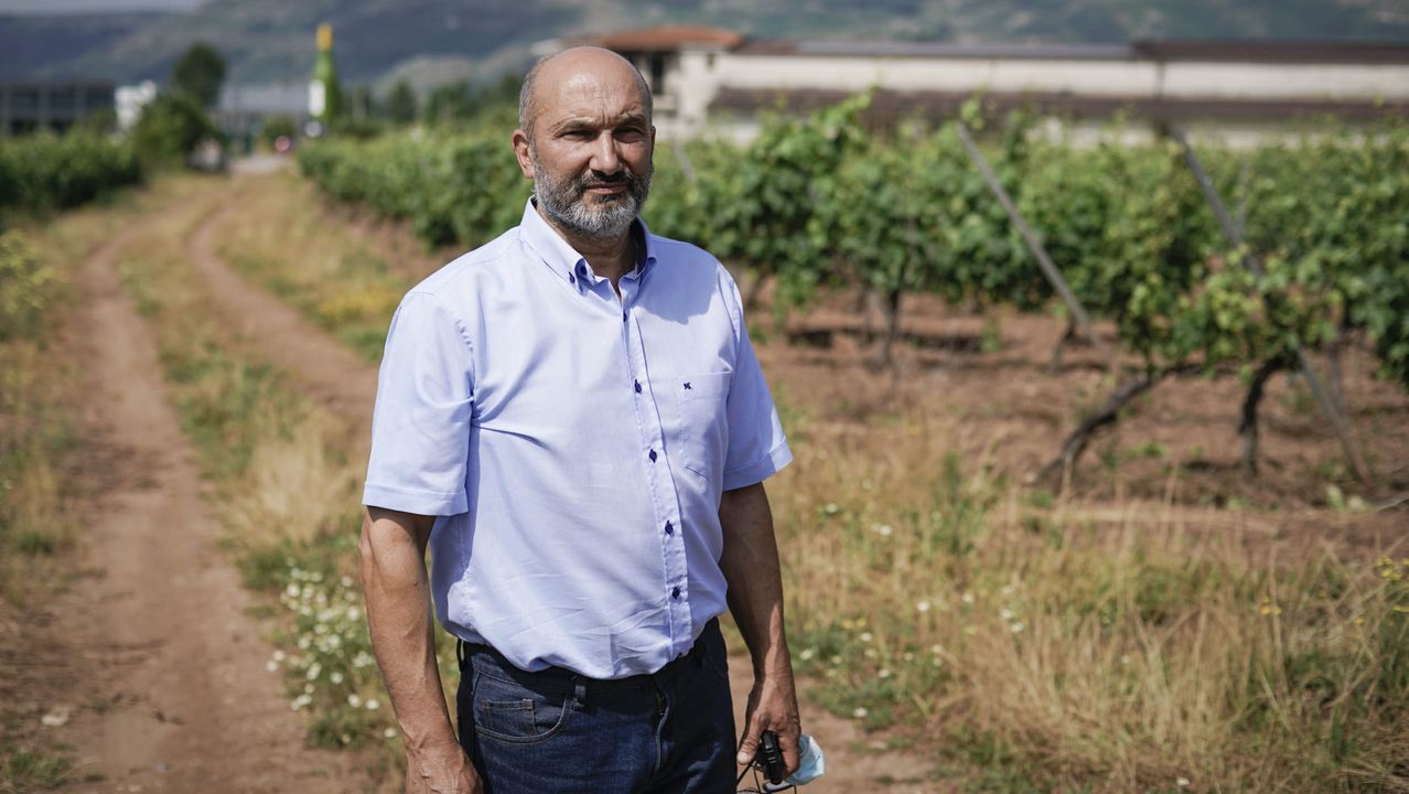 As&iacute; se votar&aacute; en Galicia.An&iacute;bal Blanco, copropietario de Tapias Mari&ntilde;&aacute;n