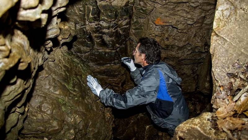 Rafael S�nchez destac� la calidad de los trabajos de los artistas de la comarca de Sarria