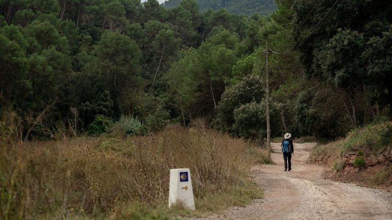 «Peregrina»: El Camino que nunca llegó a Santiago
