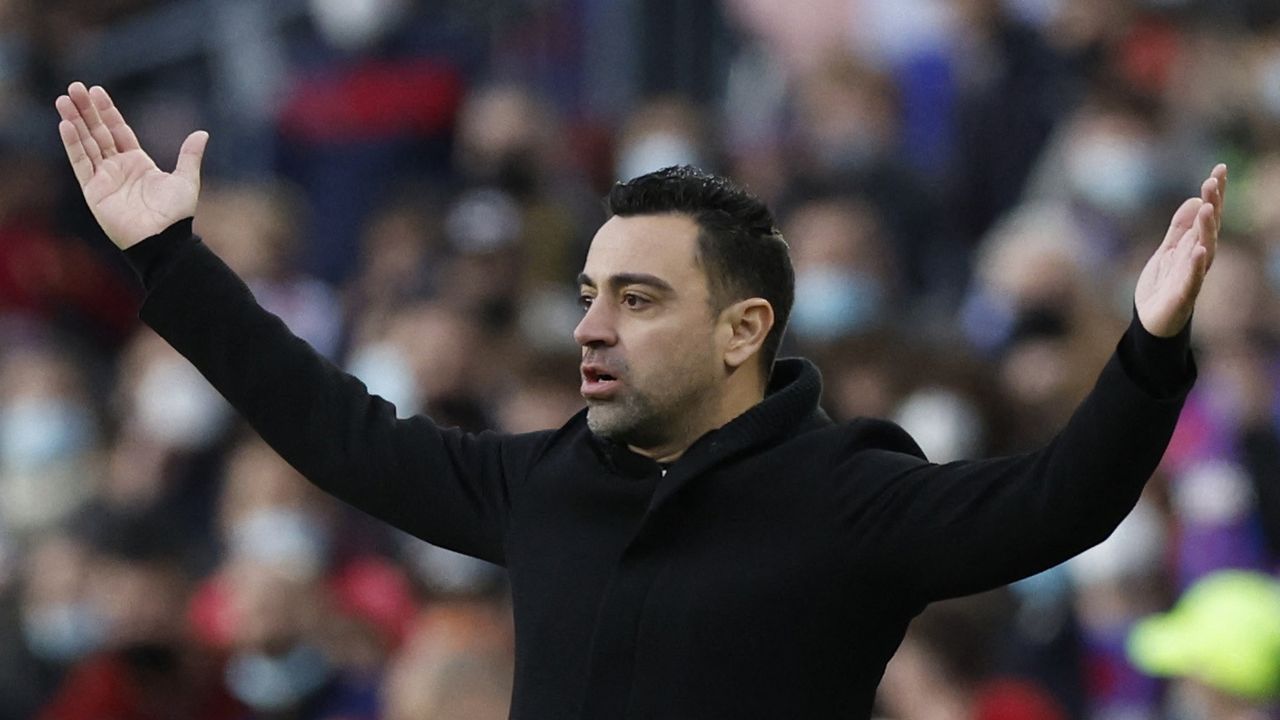 Parques infantiles que no son de cat�logo.El mapache recogido en un portal de Gij�n