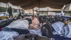 Migrantes hacinados en el centro de recepción de Ter Apel, en los Países Bajos