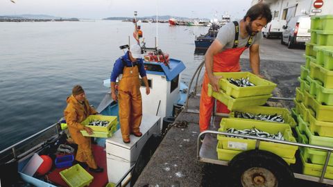 Tripulantes de un pesquero de bajura, descargando sus capturas en un puerto de Arousa (imagen de archivo)