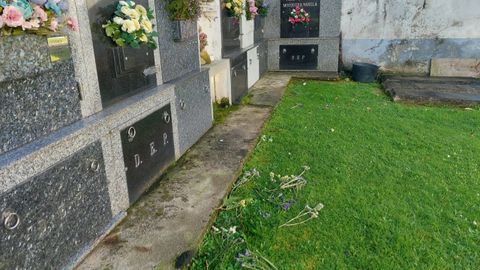 Flores tiradas en el cementerio de Orto.