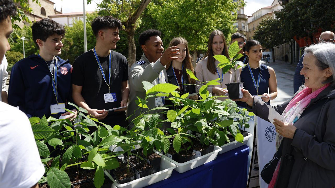 Entrega de &aacute;rboles por parte del alumnado de Josefinas.