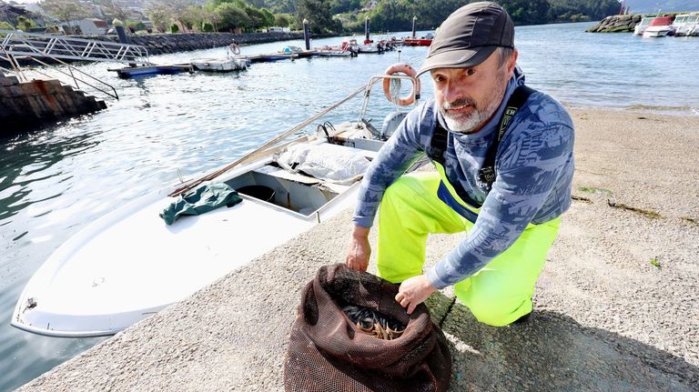 El aumento de la temperatura del agua reactiva la campaña de anguila en la ría de Vigo