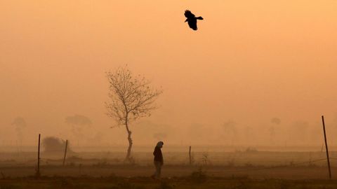 Un hombre camina a travs de la niebla en una maana  en Nueva Delhi (India)