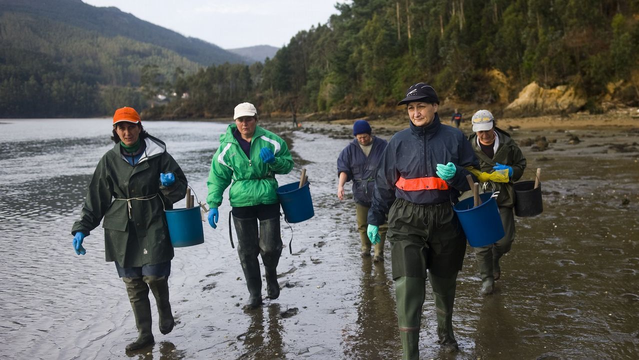 Qu tiempo har este puente?