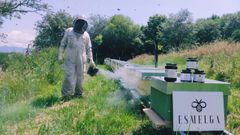 Alberto Vidal tiene 400 colmenas que mueve por Baixa Limia para conseguir su miel multifloral Esmelga.