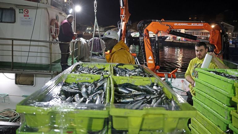 No suben los topes de sardina para san Xoán porque queda poca para este año