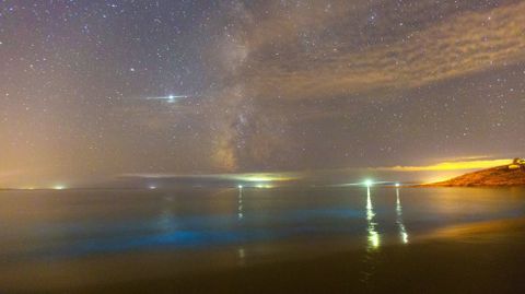 Agosto del 2020. Mar de ardora en la playa de Gures (Cee)