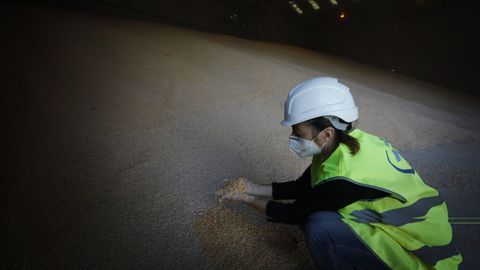 El maíz del Key Discovery en el almacén. El año pasado se descargaron más de 763.000 toneladas de ese cereal en A Coruña