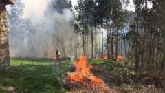 Bomberos de Asturias en los incendios en San Feliz