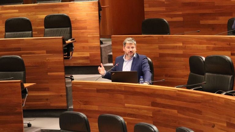 El diputado de Ciudadanos, Sergio García, durante una intervención en el Parlamento