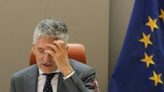 Fernando Grande-Marlaska sigue como ministro del Interior (PSOE)