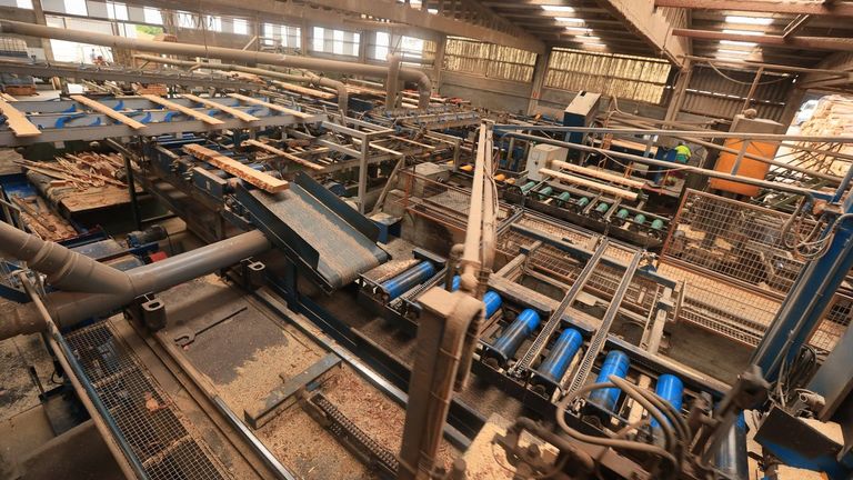 <span lang="gl">«Acabaremos o ano serrando 400 toneladas de madeira de pino ó día»</span>