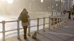 Una mujer pasea con su perro por el Muro de San Lorenzo, en Gijn