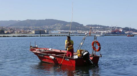 El marisqueo a flote es uno de los principales sectores productivos de las cofradías