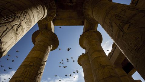 Palomas volando entre las columnas del Templo de Ramss II en Luxor (Egipto).