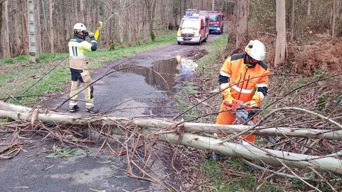 El GES de Padrn tuvo numerosas intervenciones para retirar rboles de viales del Sar el sbado