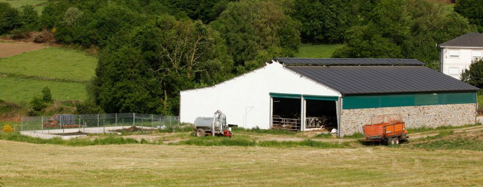 El ni�o se encontraba jugando con un bal�n cuando cay� dentro de la fosa de pur�n (a la izquierde), que est� vallada. 